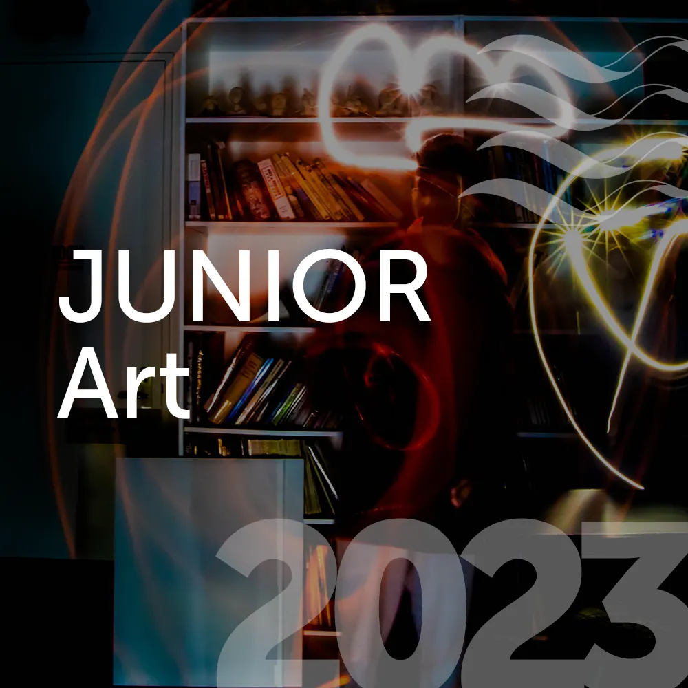Visual Arts – Junior Art