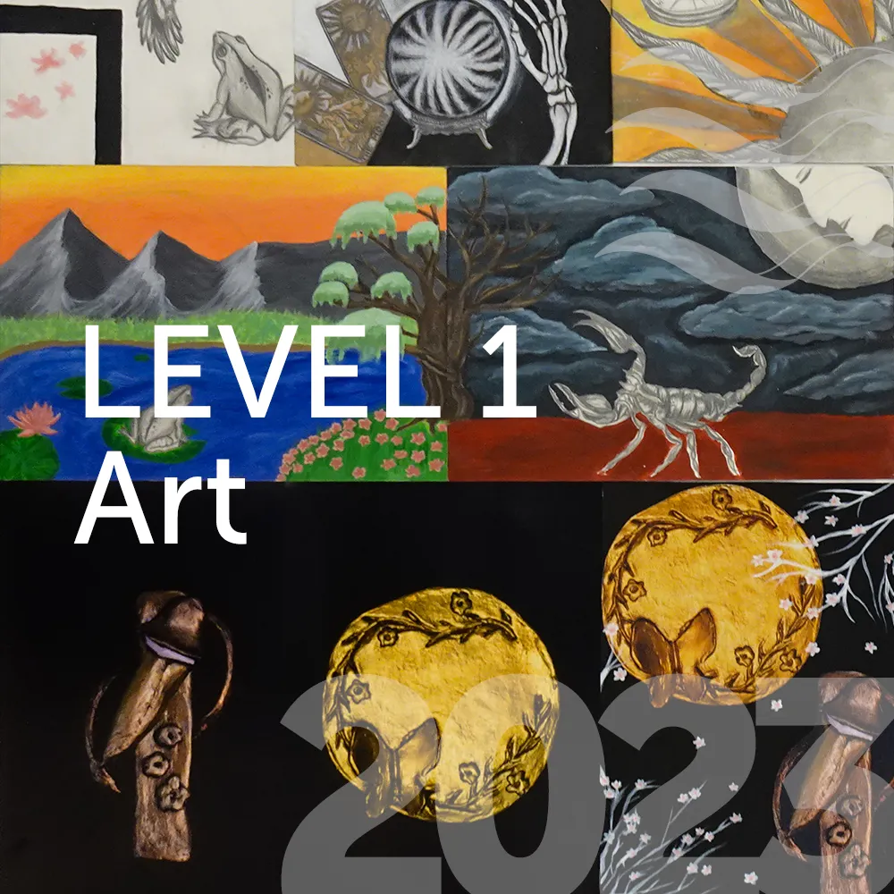 Visual Arts – Level 1